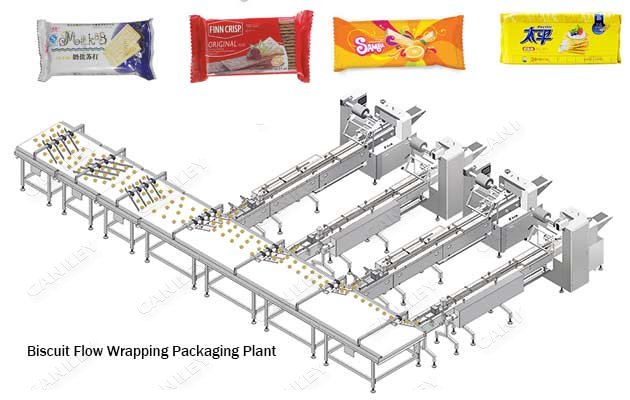 自动饼干横流包装厂